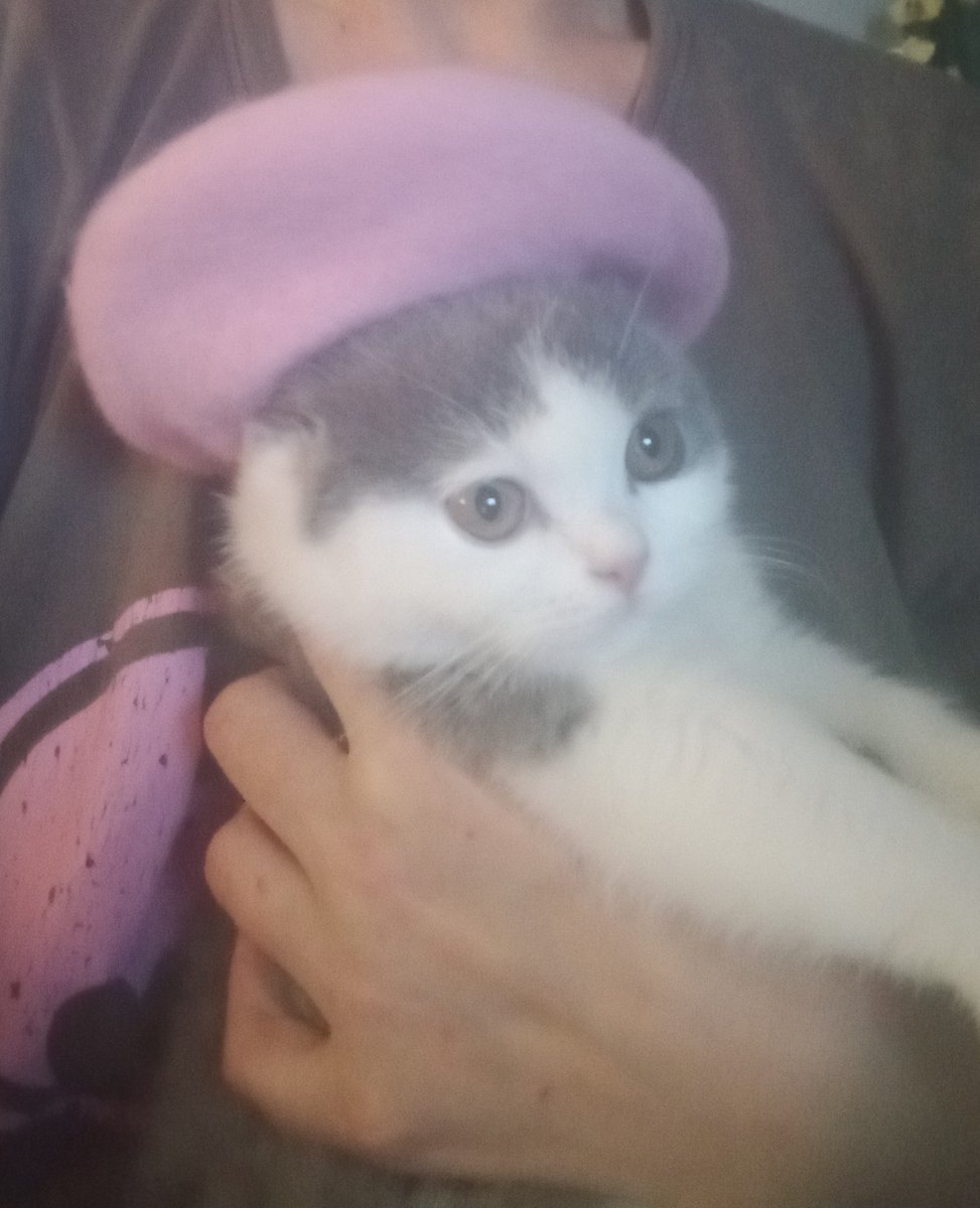 Колекция есен-зима 2026 😁