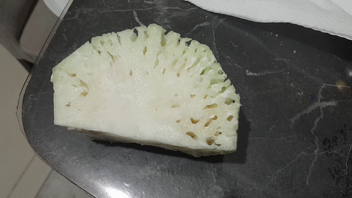 AvsarAgzi's tweet photo. AVŞAR AĞZI 

“Keçeşmek”: 

1) Turp, elma gibi etli bitkilerin içinin fazla olgunlaşma, uzun süre bekletilme vb. sebeplerle yumuşaması, süngerimsi bir hâl almasını ifade eden #Avşar kelimesi.

2) Soğuk su içme sebebiyle dişlerde hissedilen uyuşma.
#AvşarAğzı https://t.co/mm3dhh4nyu