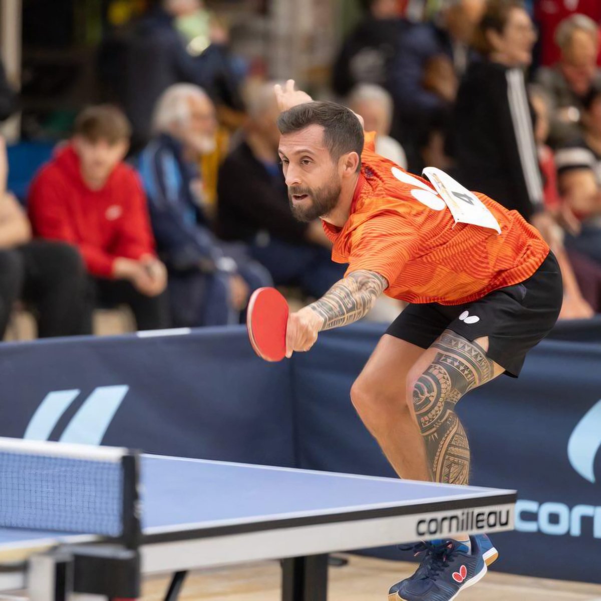 Top sur Top tweet media