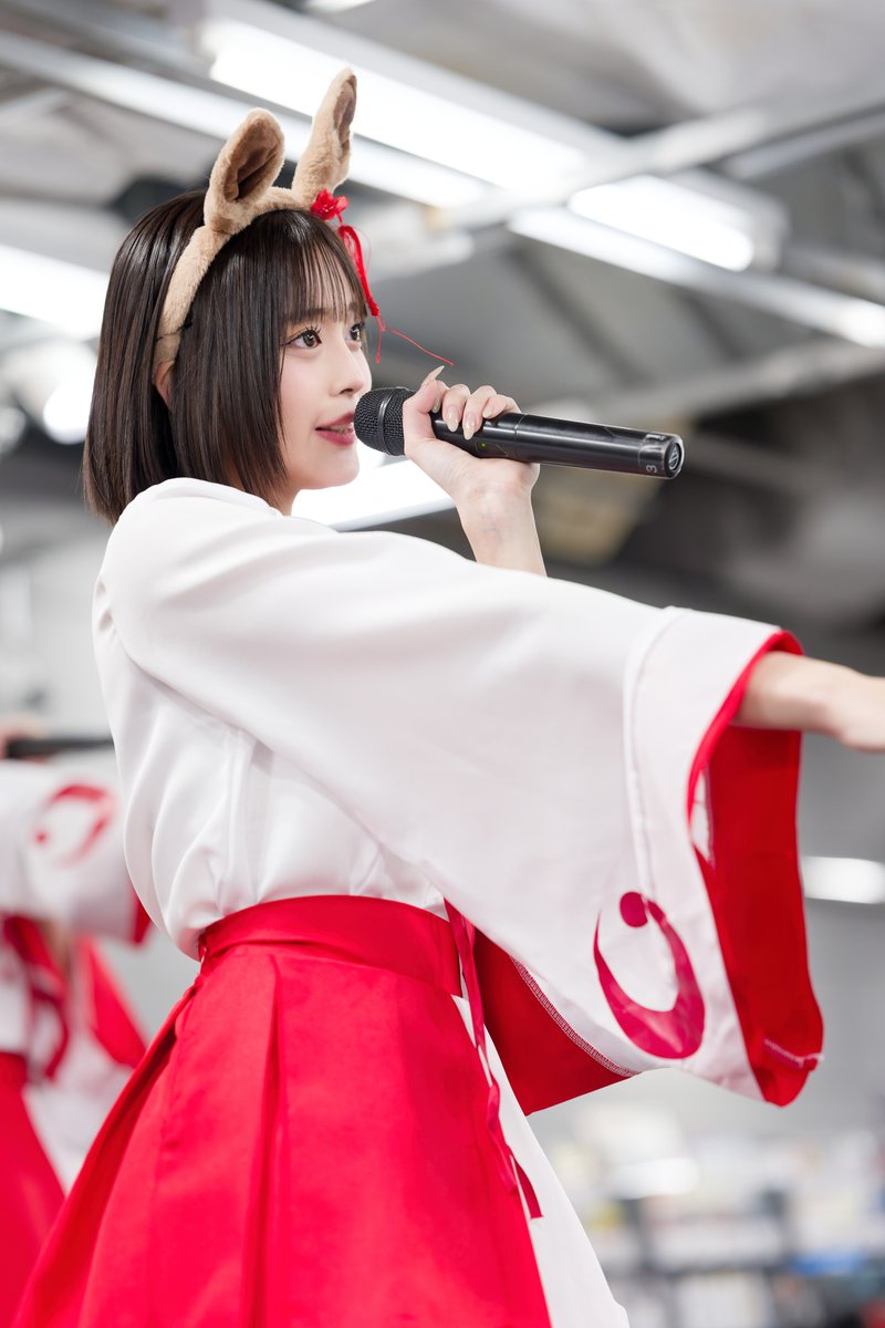 ねねぱんま Amazon | 京都機械工具(KTC) ネプロス 両口スパナセット NTS206