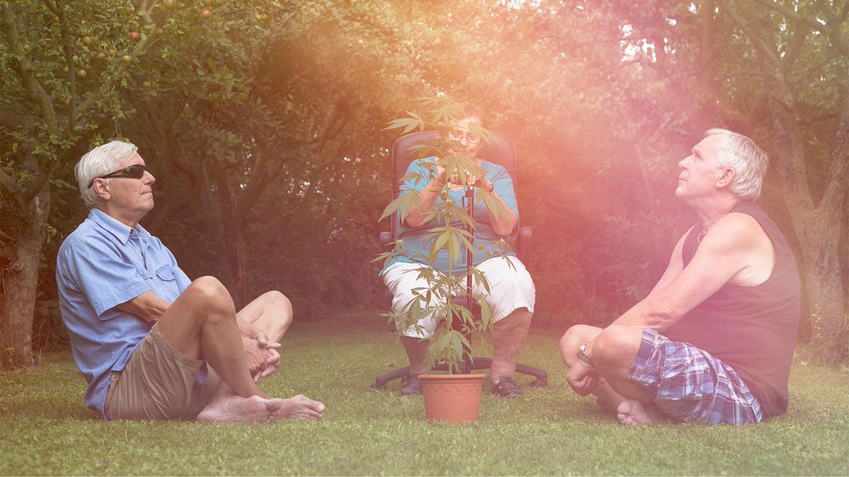 Why More Seniors Are Getting High, by <a href="/MitchellOsak/">Mitchell Osak</a> open.substack.com/pub/mitchellos… #cannabis #cannabisindustry #medicalcannabis #marketing #seniors
