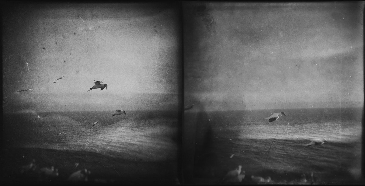 Light & Stanza tweet media