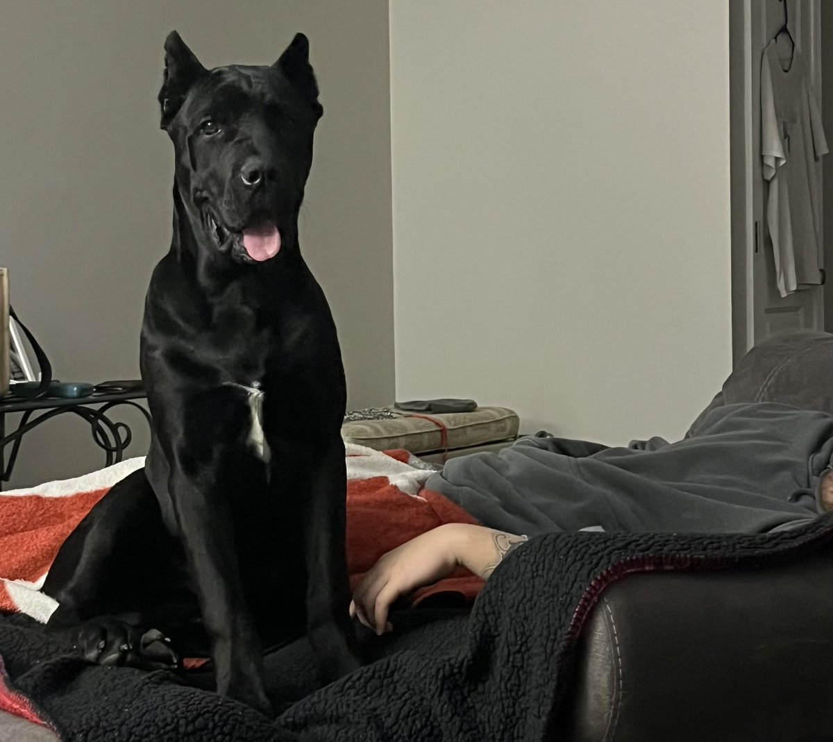 KK IOSEFA LEMAPU 🇦🇸🤙🏽 tweet media