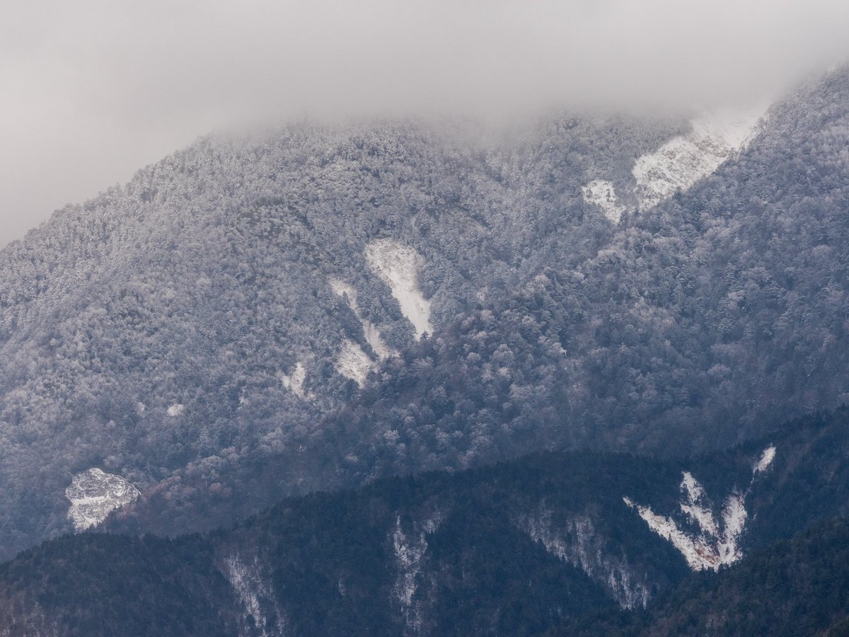 ✨63000円➡45000円✨【～7/21期間限定特価】理科全部入り 新車】ZX-6R「40th Anniversary Edition」159万5000円で国内発売！新型