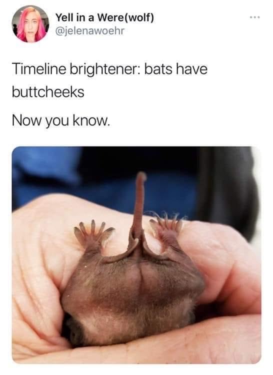 <a href="/MrPitbull07/">Mr PitBull</a> ♥️