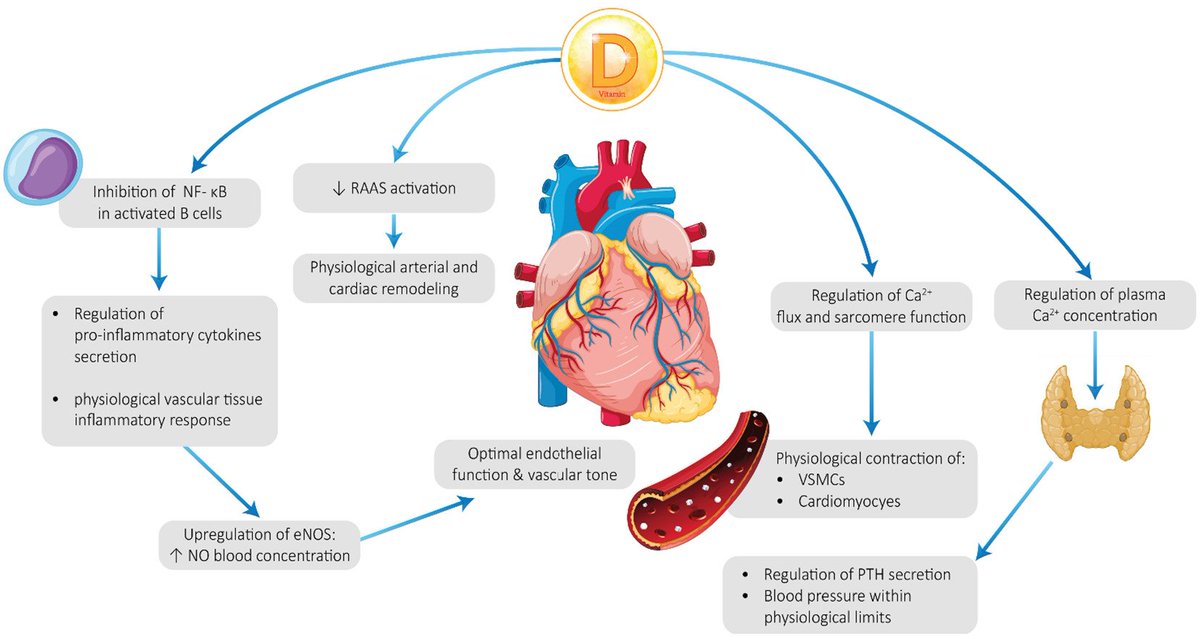 🔬 RicardoMontes tweet media