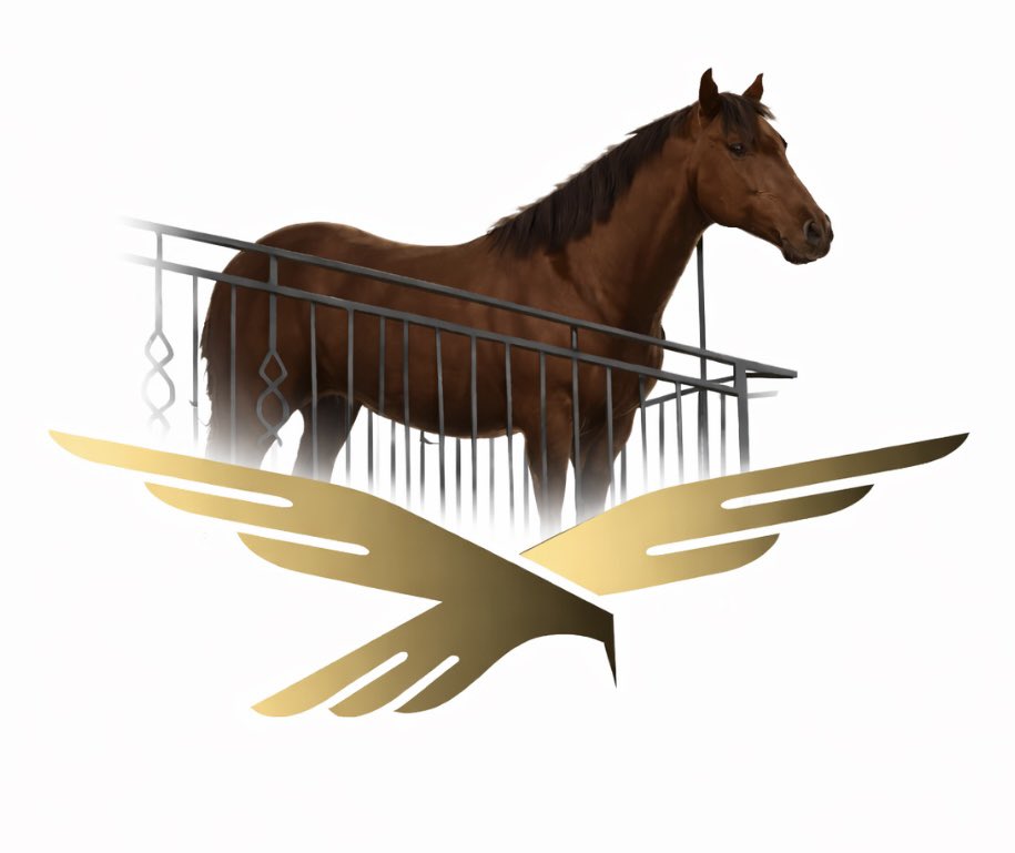usd1juan's tweet photo. @zakfolkman @BDCryptoGuru a juan of a kind opportunity 

$usdjuan 🤝 🦅 ☝️ https://t.co/xkawjjnAUy