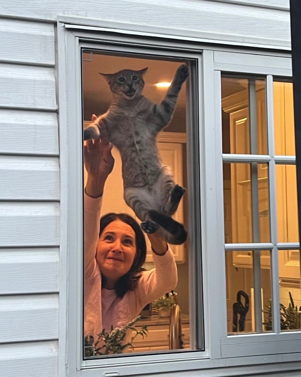 catshealdeprsn's tweet image. Escape failed