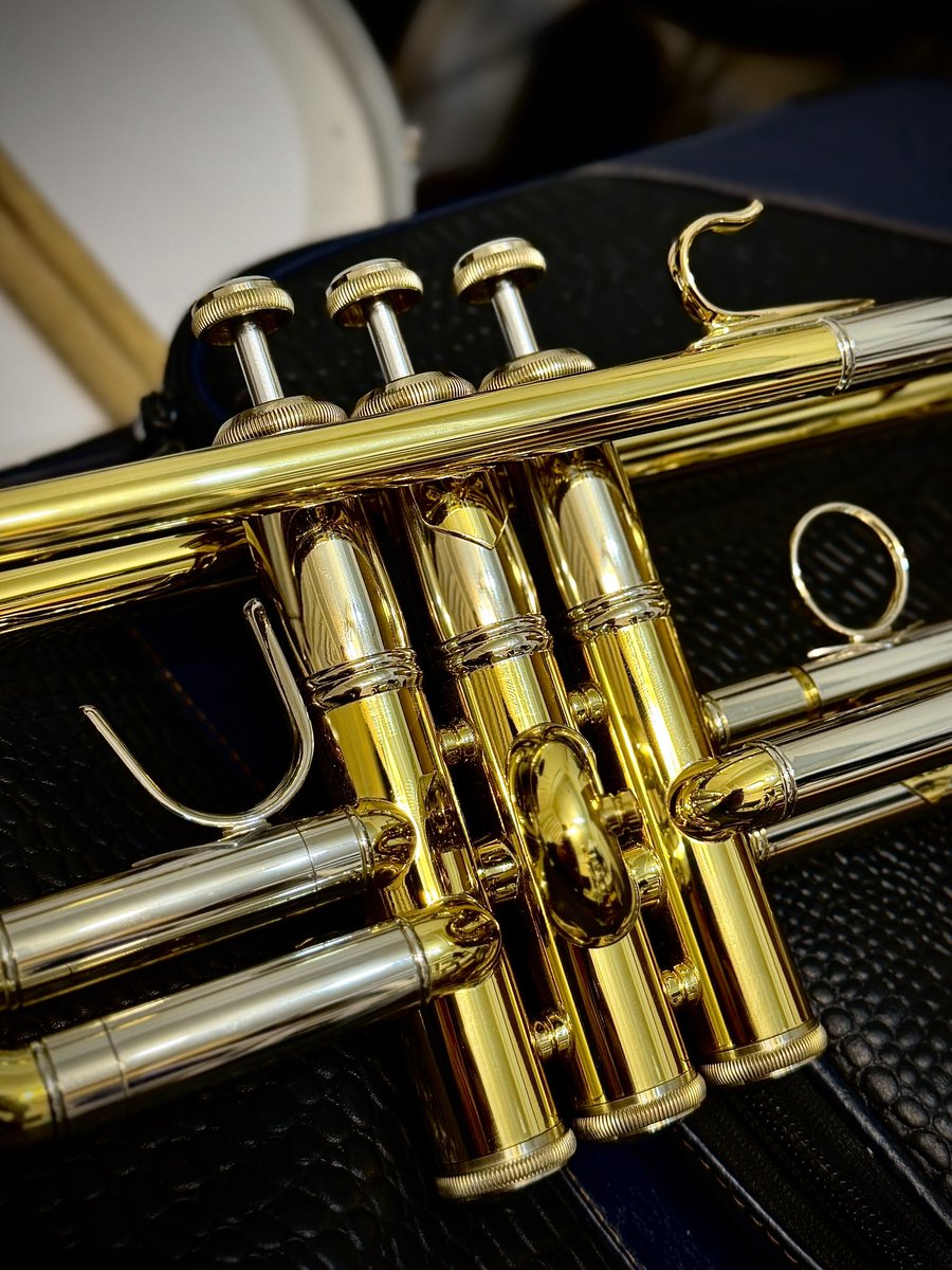 トラスト山本 tweet media