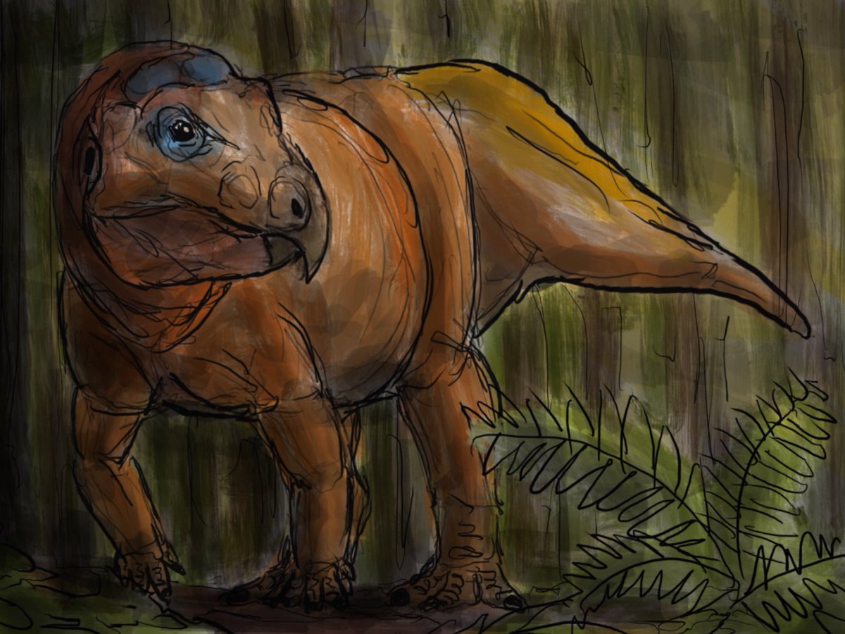 Ajkaceratops