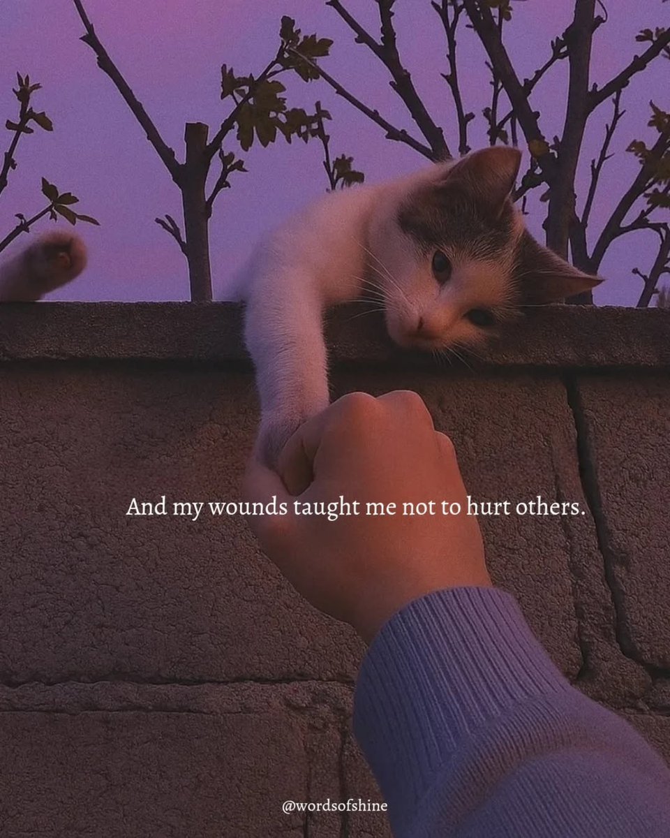 itswords_'s tweet image. 