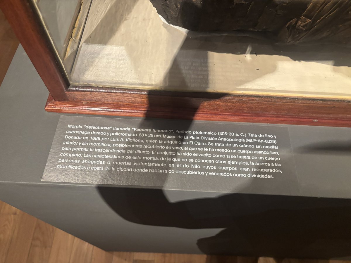 pdzoth's tweet image. Visita al Museo Nacional de Bellas Artes