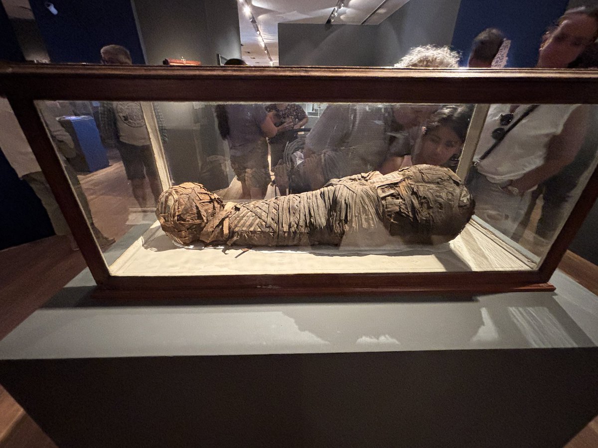 pdzoth's tweet image. Visita al Museo Nacional de Bellas Artes