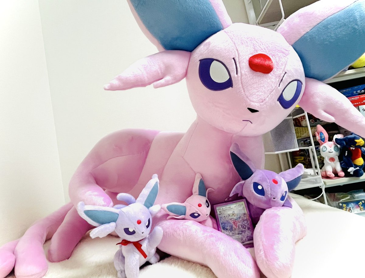 等身大エーフィちゃん、無事お迎えしましたー！！🎉🎉