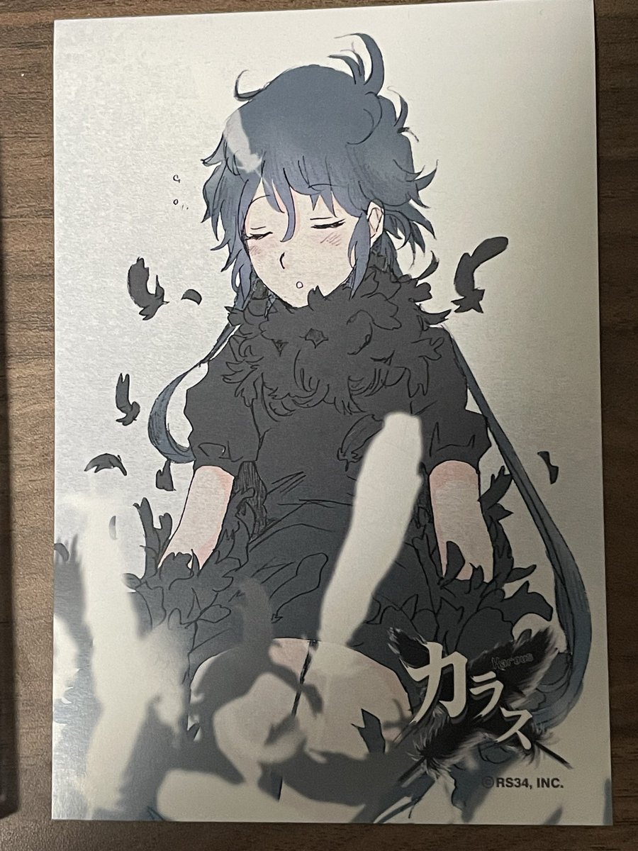 Rdot73's tweet image. カラスのサントラが届いたぜ