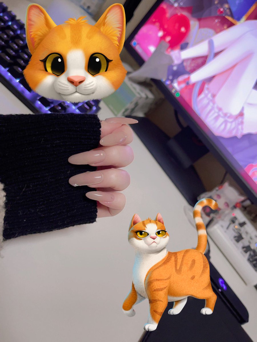 にゃん汰さま専用ページ 専用かみにゃんさま にゃん太(ΦωΦ)ニャ様専用 にゃん様専用ページ