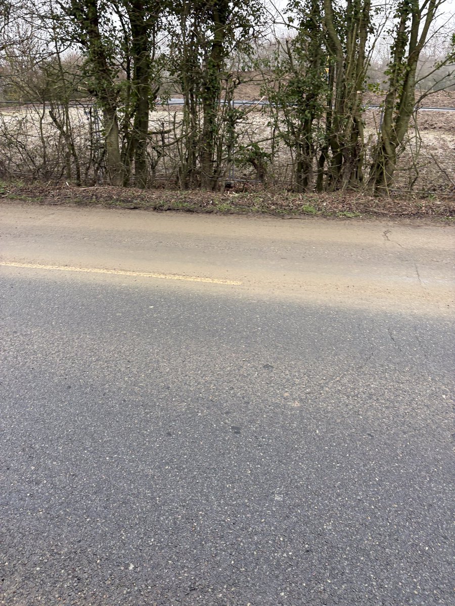 ⚒ Terry ⚒ tweet media