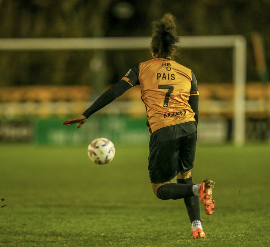 Miro pais tweet media