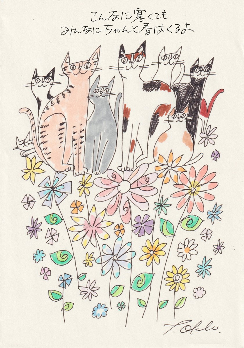 こっこ (@cocco3673) / Posts / X