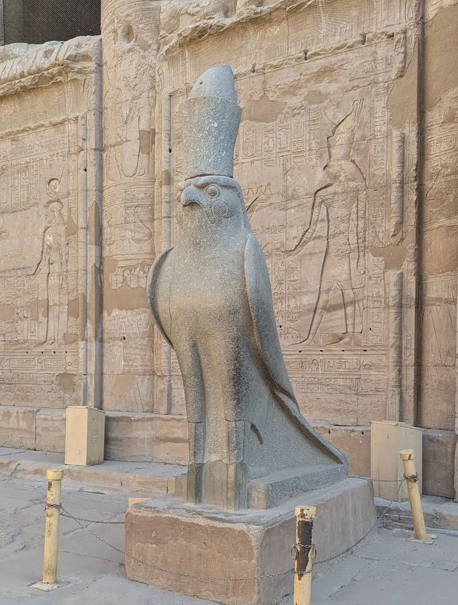Fercolchonero's tweet photo. Horus
Templo de Edfu
#UniversoFernando #Egiptoloco #AntiguoEgipto #Horus #TemploEdfu https://t.co/LBhPie4aG4