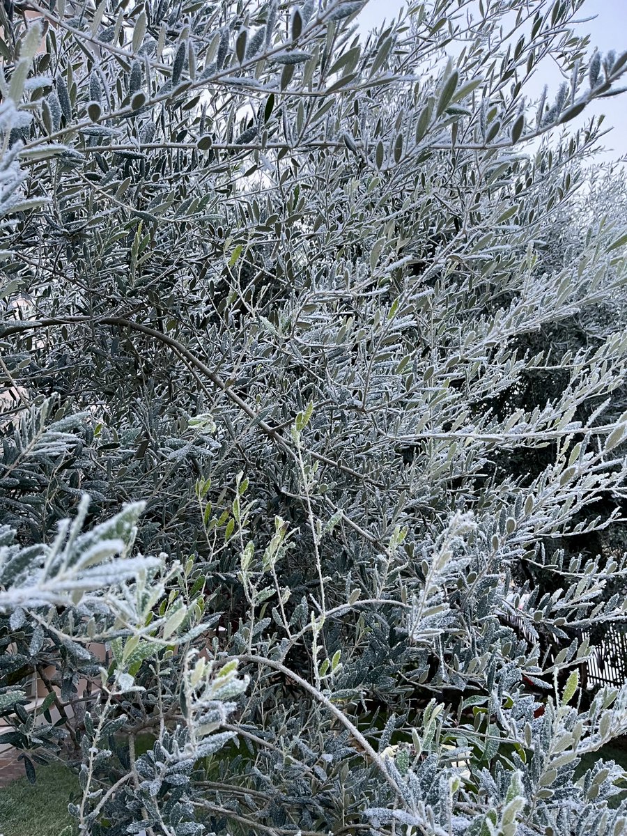 _argesh_'s tweet photo. It’s cold https://t.co/x0KABuf4Tu