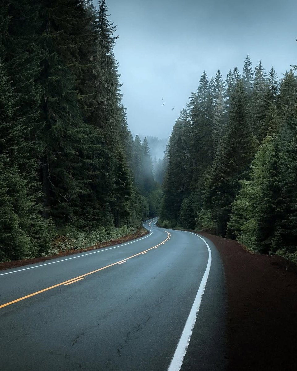visualsofearth1's tweet photo. Pacific Northwest https://t.co/xQe2SWaMzc