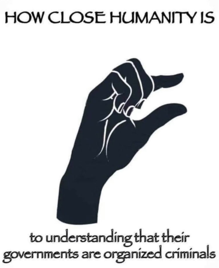 martinpeel1's tweet image. 