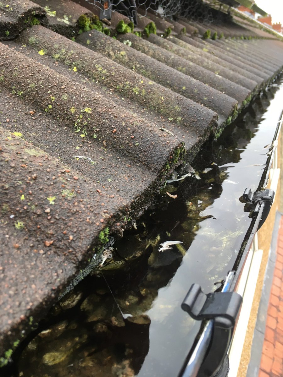 #HONESTMAN4HIRE tweet media