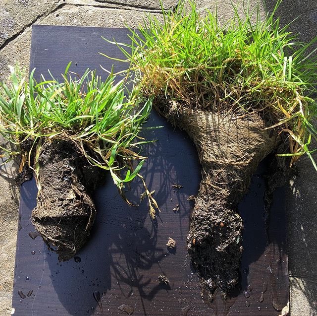 #HONESTMAN4HIRE tweet media