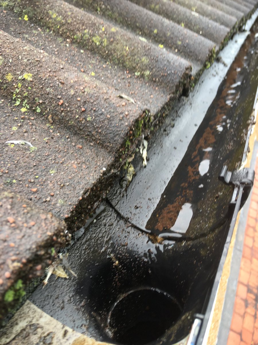 #HONESTMAN4HIRE tweet media