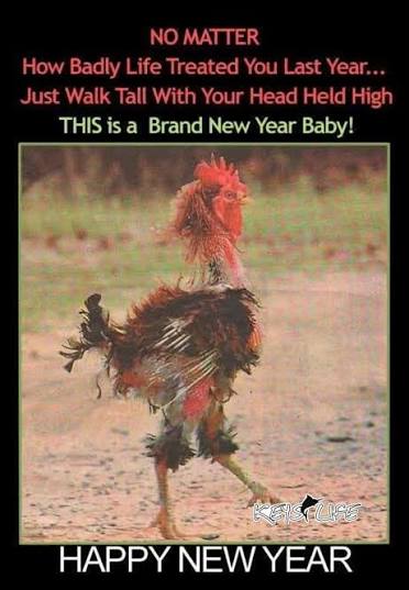 HumboldtGeoff's tweet photo. 🐔 🥂 https://t.co/UE6XDyon6f