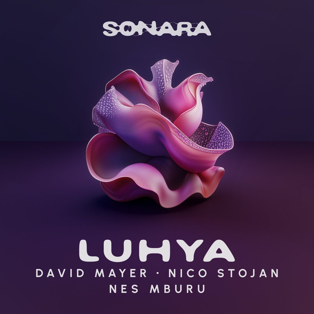 sonararecord's tweet photo. Since Sept. 2025, SONARA has released 4 new tracks by @DavidMayerAudio , @nico_stojan, &amp; @tookermusic. We’re incredibly proud of the music &amp; hope you’ve been loving it, too.

Tomorrow, David is releasing his single, News Flash. This year is going to be a big year for SONARA! https://t.co/35d1TxLYt5