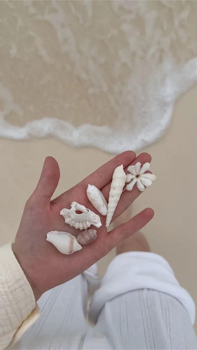 artindetails's tweet image. coastal calm.