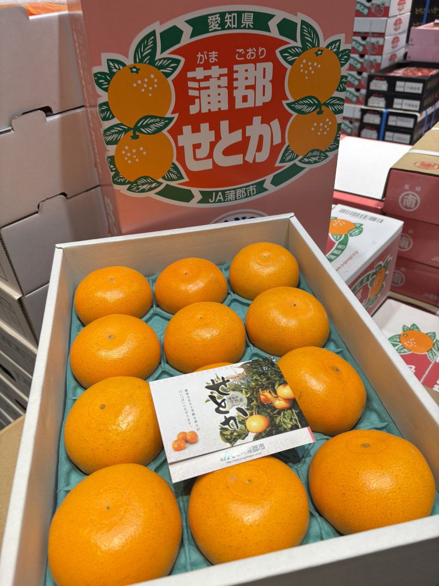 みかんノート (@mikanflavor1) / Posts / X