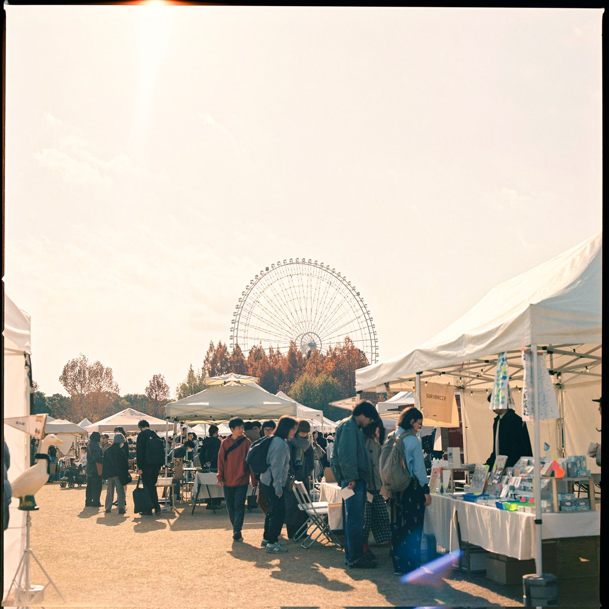 Jan.8
#Hasselblad500CM