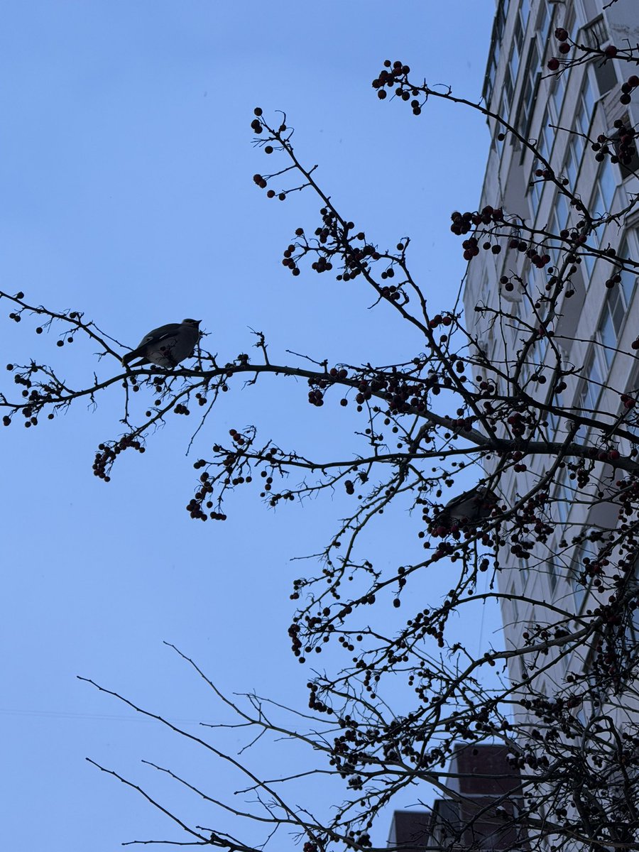 Не, я пивка (@anatolich_29) on Twitter photo 