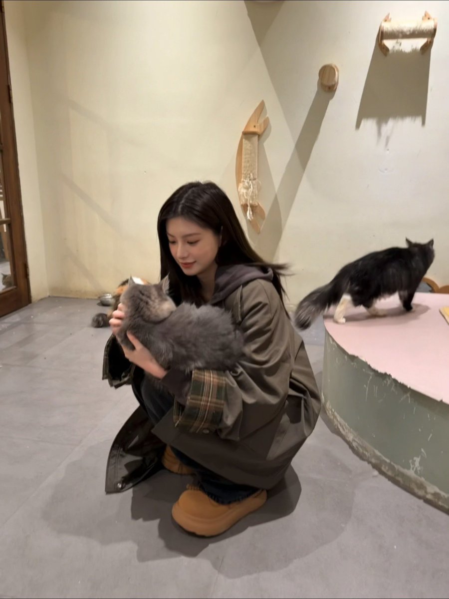 YIREN UPDATES tweet media