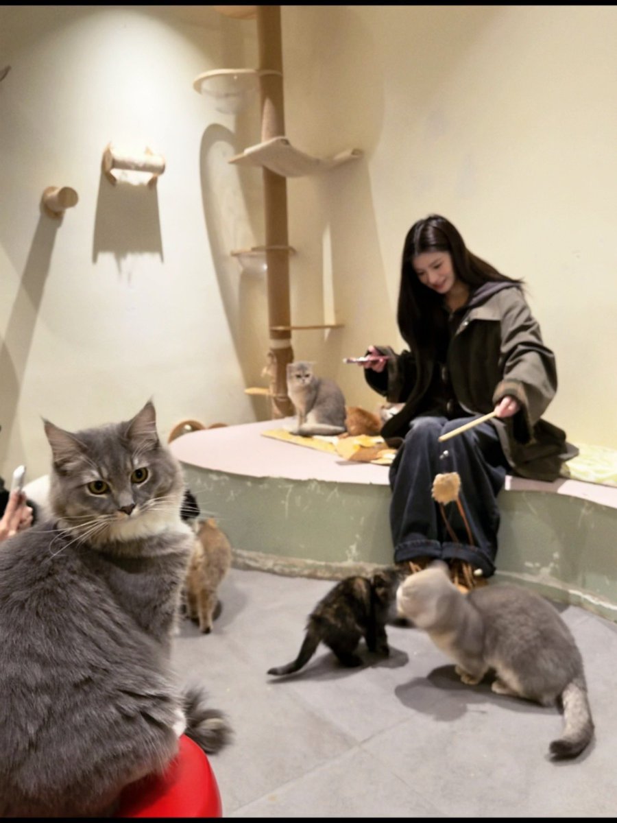 YIREN UPDATES tweet media