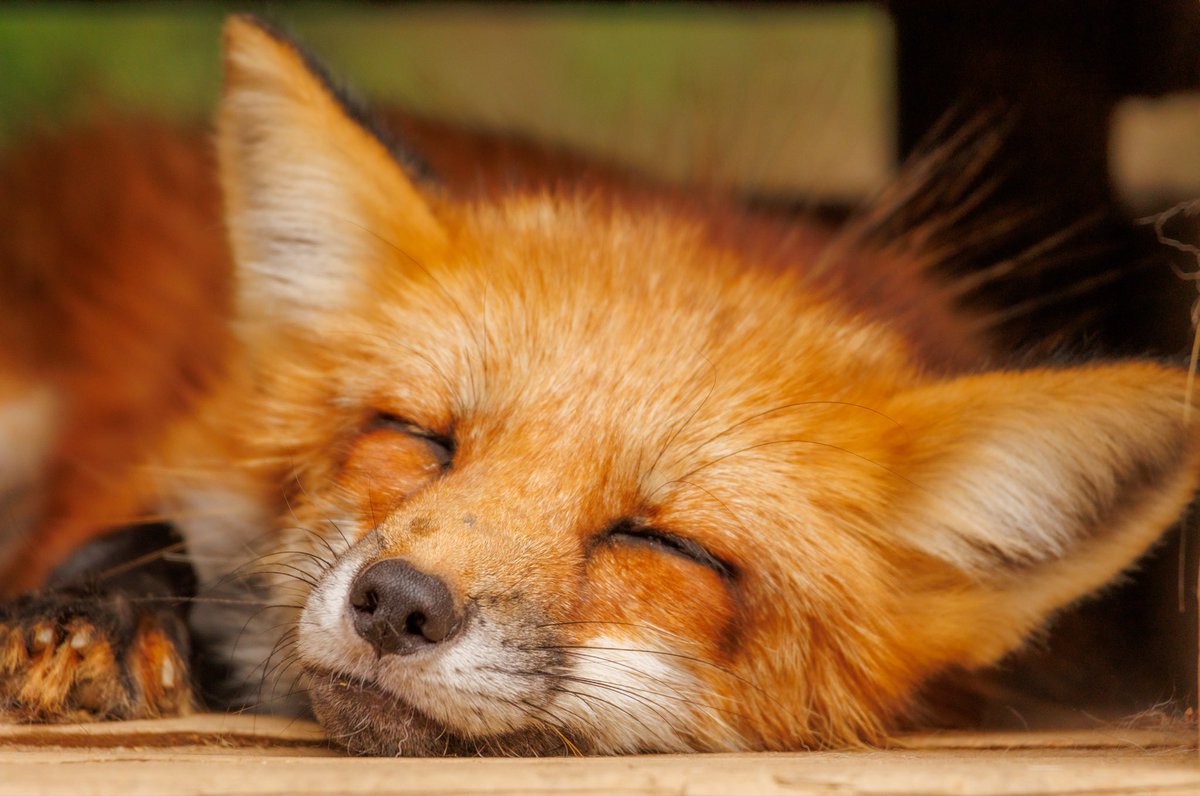 むぎ (@mugimugi_z) / Posts / X