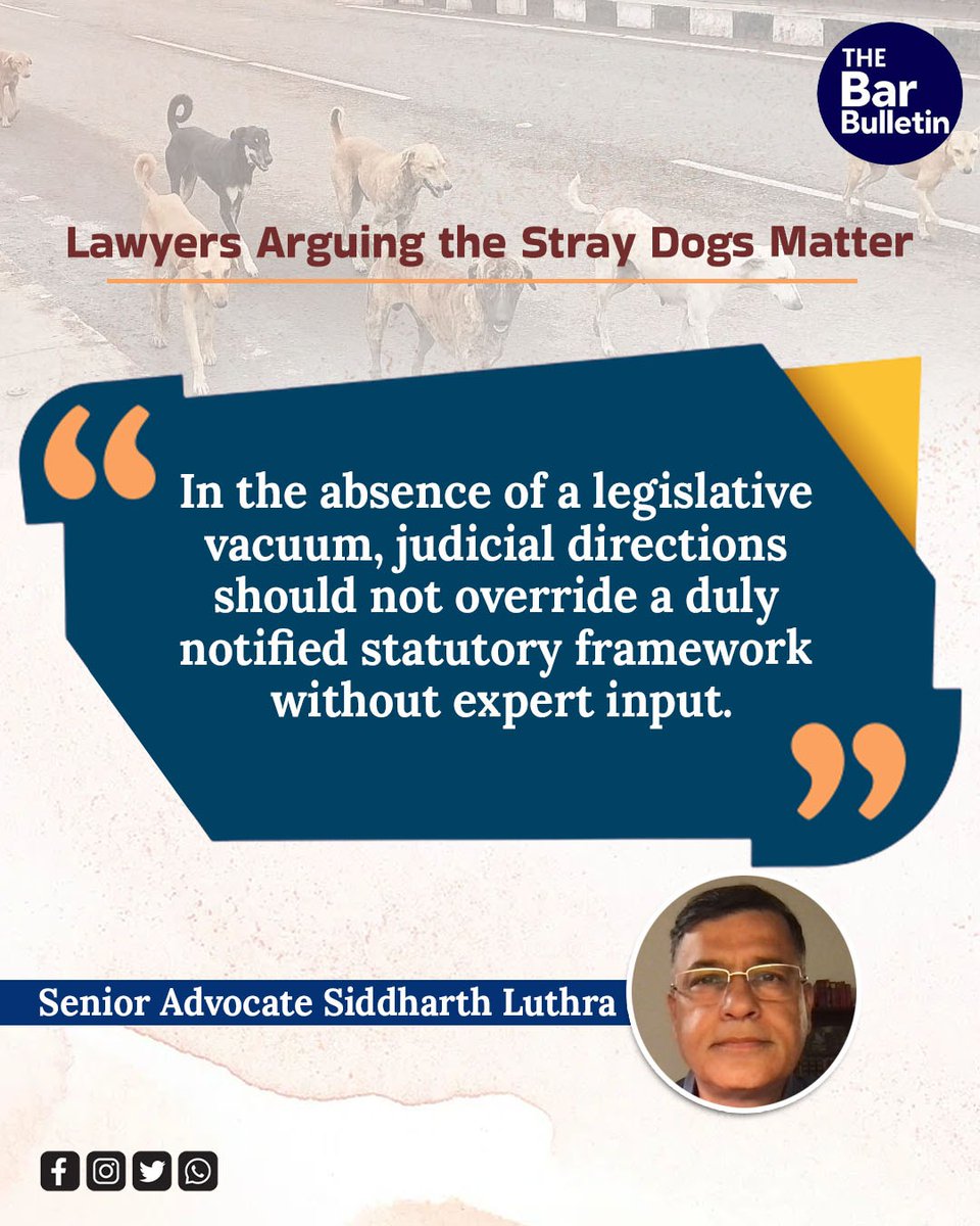 thebarbulletin's tweet photo. Lawyers Arguing the Stray Dogs Matter

#SupremeCourt #ABCimplementation #AnimalBirthControlRules #animalwelfare #datadrivenpolicy #humanesolutions #microchippingdogs #statecompliance #straydogmenace #veterinarycare #thebarbulletin #legalupdates #legalnews https://t.co/mQFdYL3whS