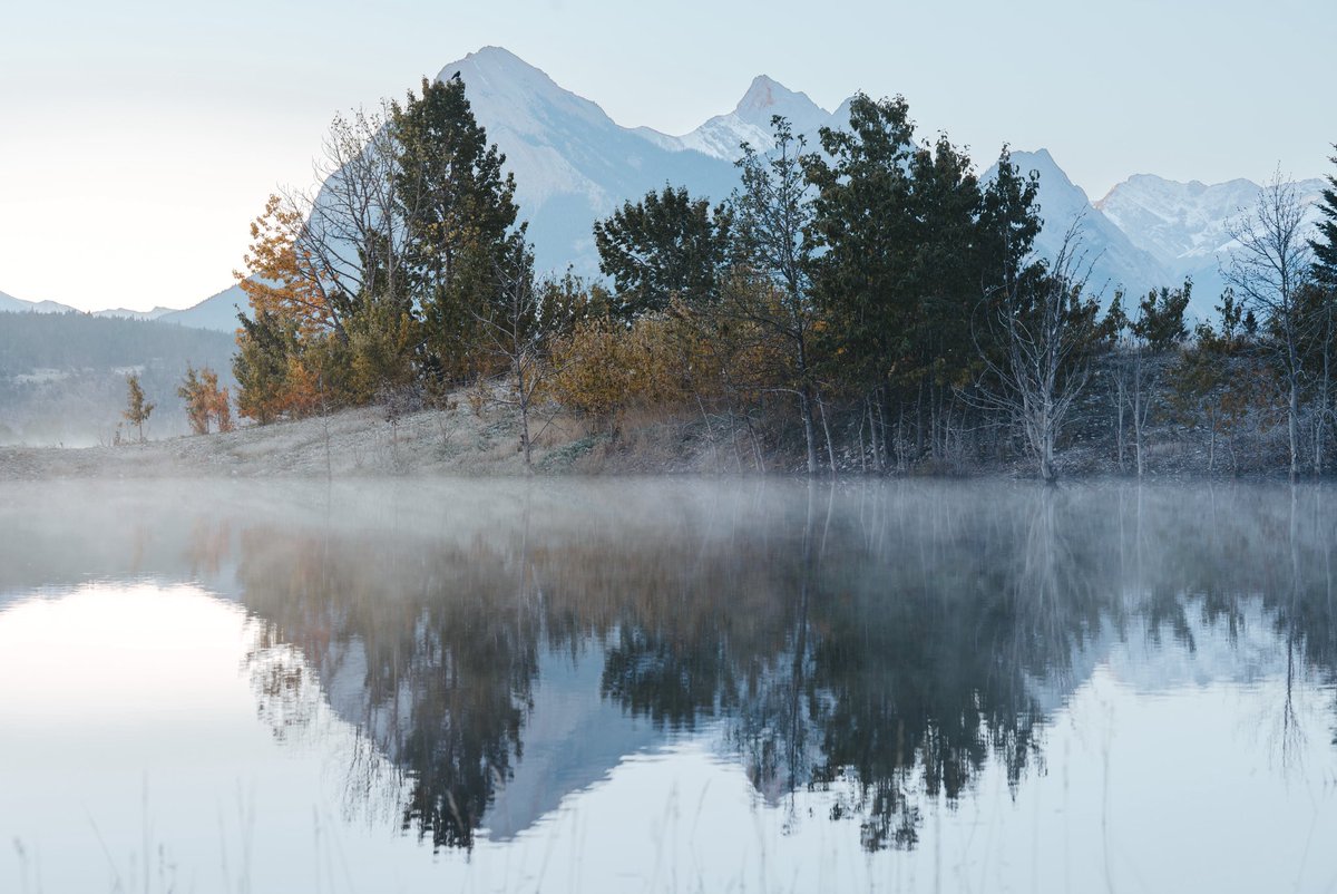 Saraboychuk_'s tweet image. Gm