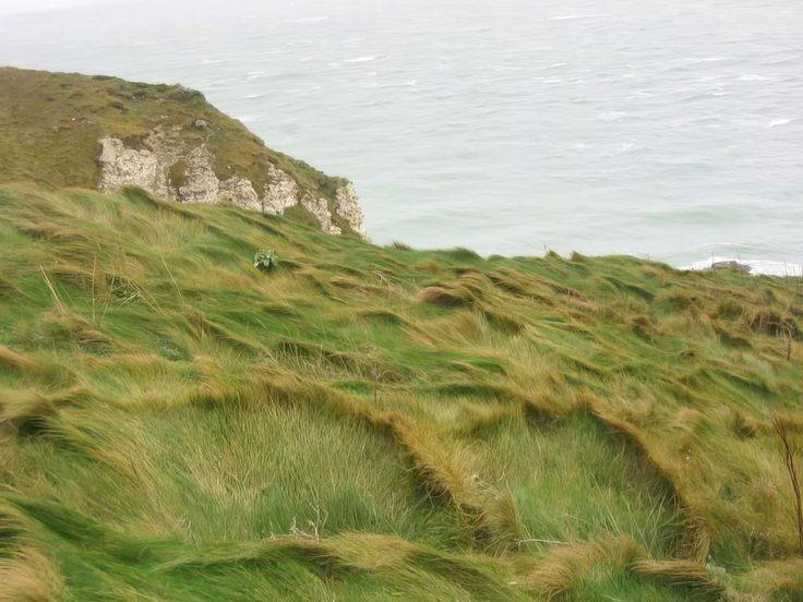 green waves.