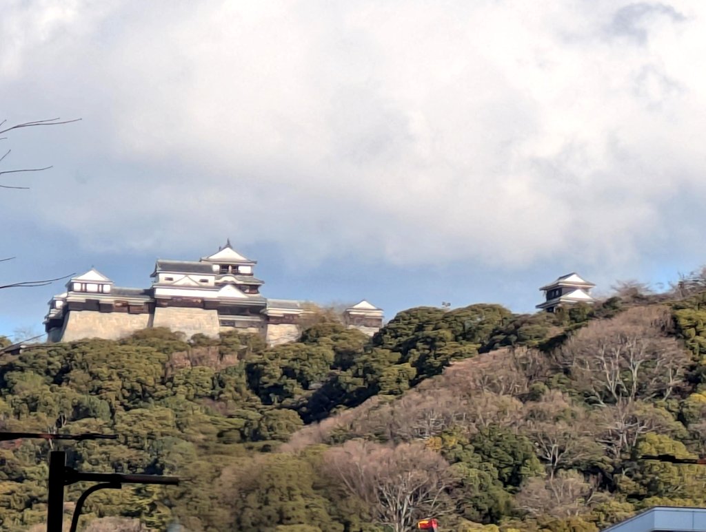 松山城ってこんな美しかったっけ？✨️😊見惚れる〜