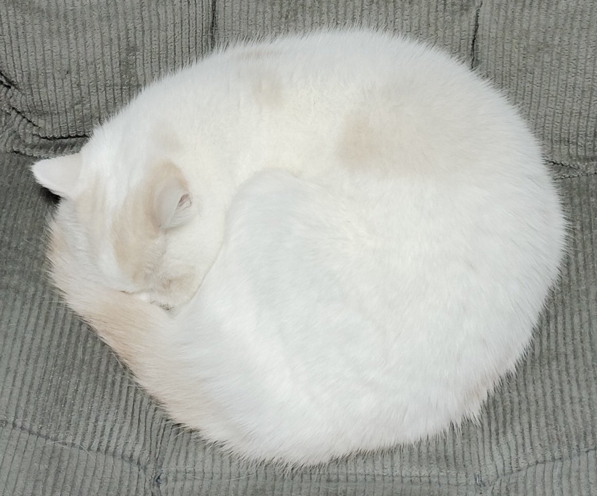 福ちゃん Post by 福ちゃん on X: ◯