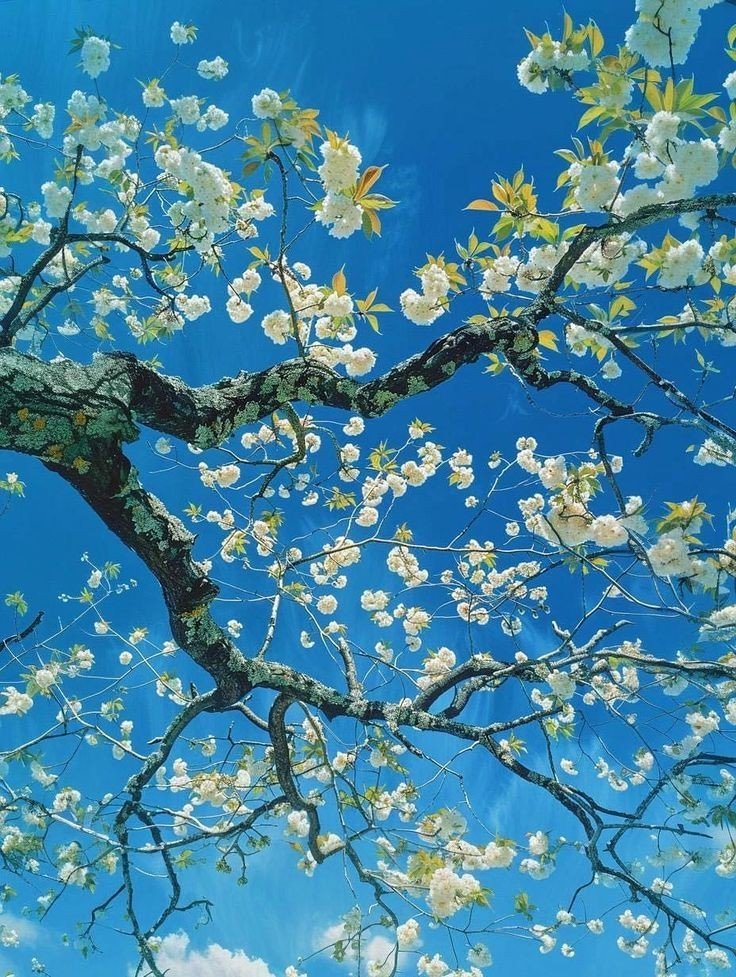 artindetails's tweet image. ooks like from a van gogh painting