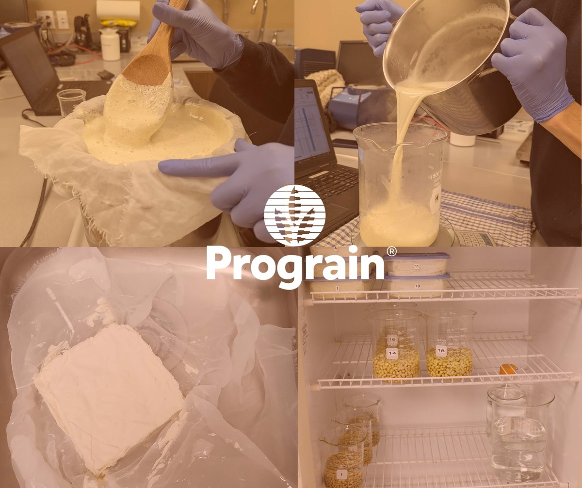 Prograin tweet media