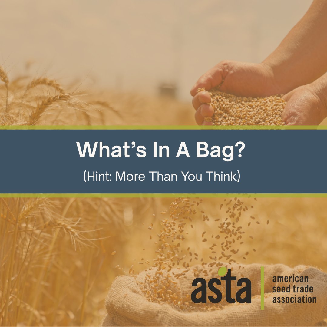 American Seed (ASTA) tweet media