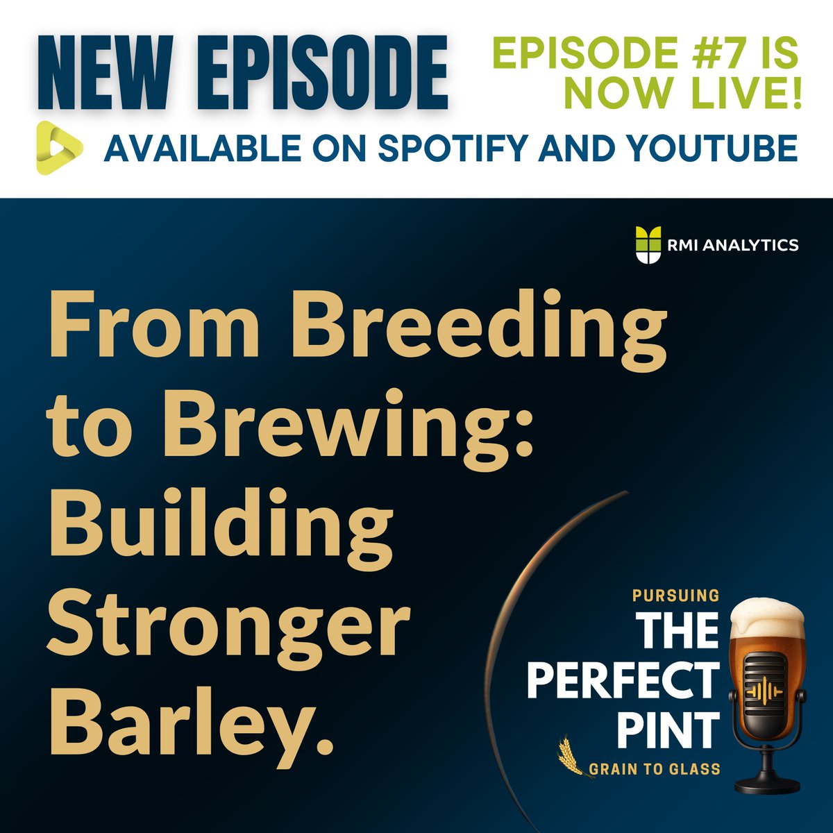 RMI Analytics GmbH tweet media