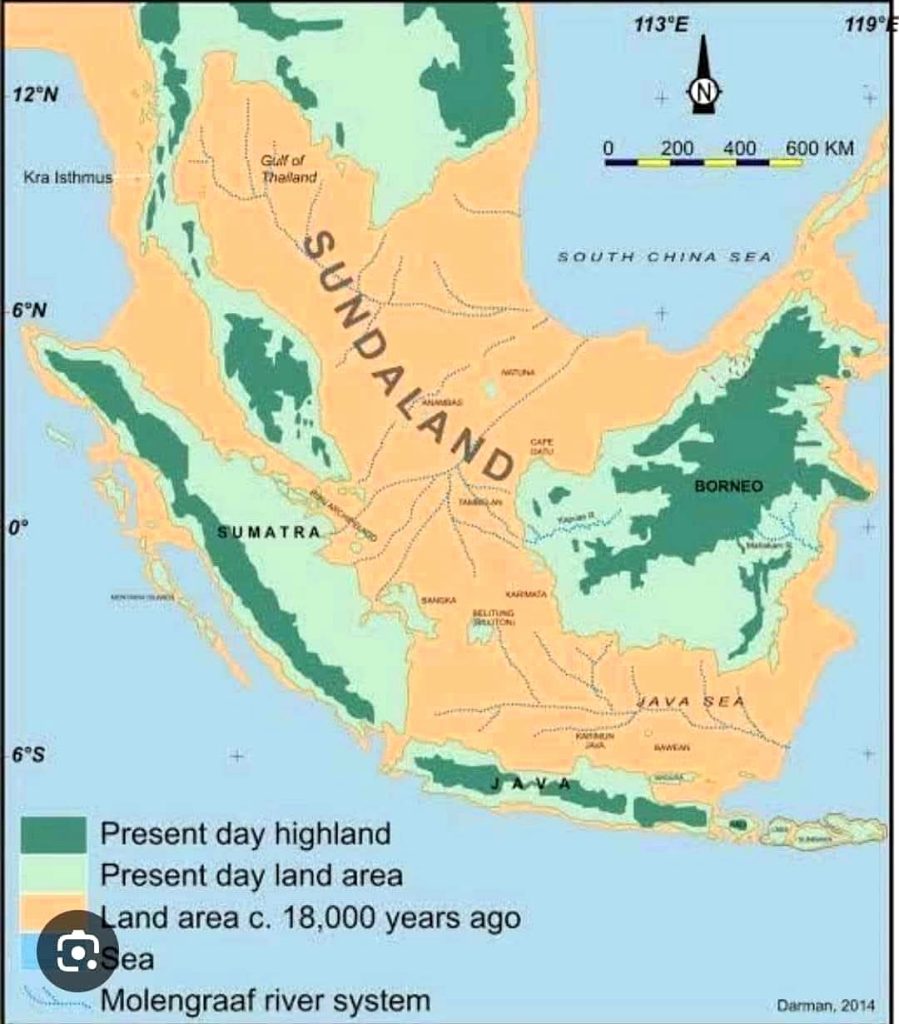 Warticfox's tweet image. Indonesia tidak hanya menjadi pusat biodiversitas modern, tetapi juga merupakan laboratorium evolusi megafauna yang luar biasa pada kala Pleistosen.
Dari kuda nil Jawa hingga gajah kerdil di Flores, gweh mau nulis dikit soal Megafauna Purba Nusantara yang kini telah punah.