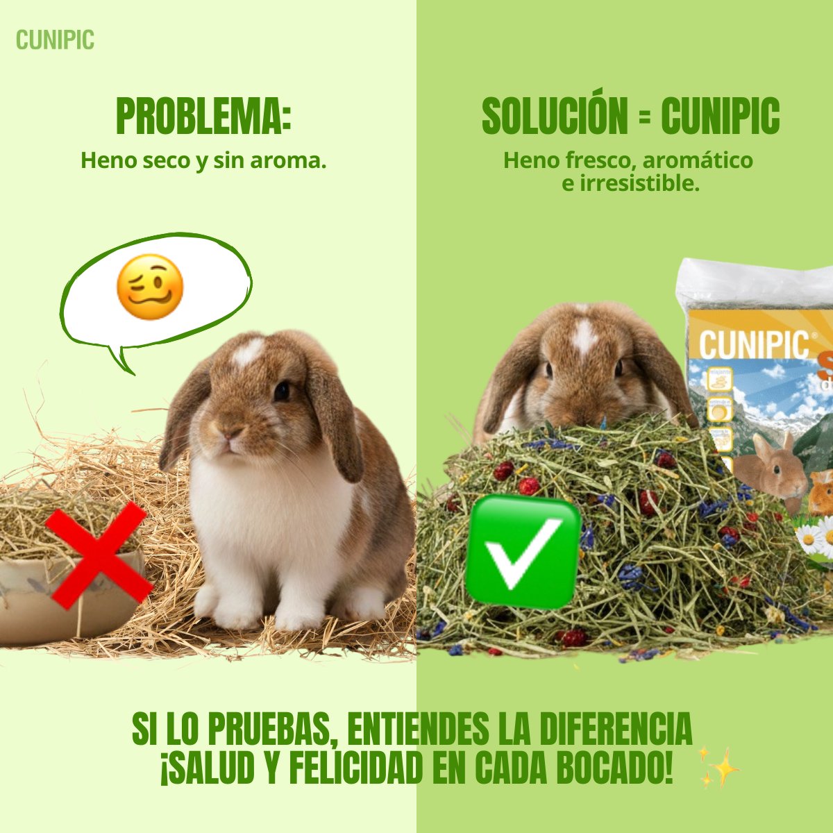 🐰 No todos los snacks son iguales. En Cunipic apostamos por lo que de verdad importa. Y cuando el problema es el heno… 👉 La solución es Cunipic: heno fresco, aromático e irresistible.

#Cunipic #ConejosFelices #AlimentaciónSaludable #BienestarAnimal